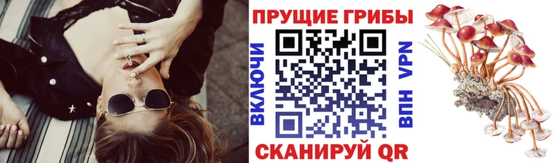 Псилоцибиновые грибы Magic Shrooms  hydra зеркало  Беломорск 